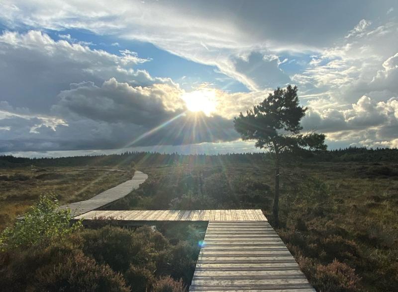 abbeyleixbog